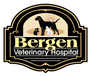 Bergen-Vet